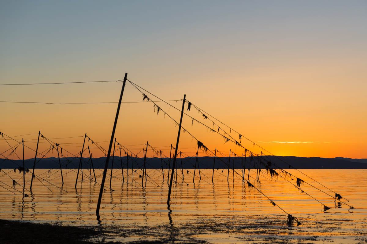 Les fascines de pêche au coucher du soleil
